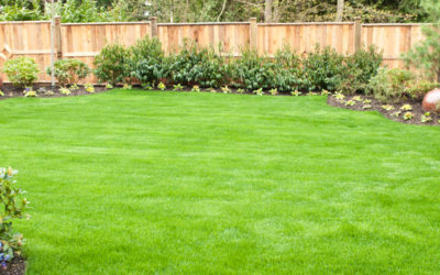 ¿Césped natural o artificial?