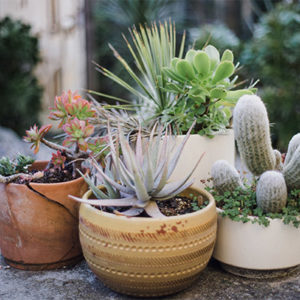 Productos Jardinería