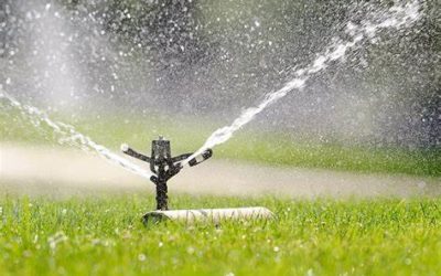 Ventajas del riego automático